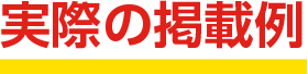 実際の掲載例